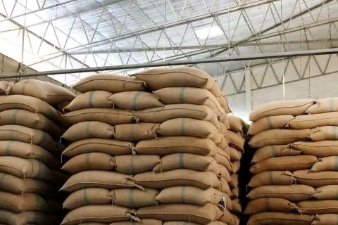 Private Label & Bulk Coffee Export from Ethiopia: What US Buyers Need to Know